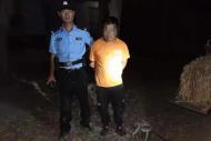 臨泉：兄弟倆抓了39只壁虎獲刑