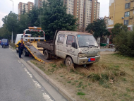 亂停車為何被罰500元？合肥城管：毀綠了