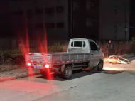 無為：“牛魔王”受驚發瘋 民警將其擊斃