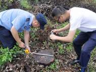 1000余株！池州警方偵破一起特大濫伐林木案
