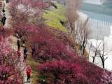 2025年底前，合肥城市建成区公园绿地达500个以上