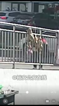 六安一女子嘴饞伸手偷咸雞 被行政拘留