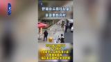 合肥街頭野豬亂竄 民警果斷開槍擊斃