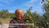 断臂退伍军人“咬”树枝10年，咋回事？