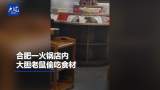 合肥一火锅店内  大胆老鼠偷吃食材
