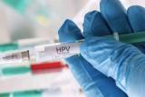 合肥瑶海区开启HPV九价、四价疫苗线上预约接种服务   快看怎么约