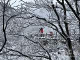 黄山风景区雪景初现