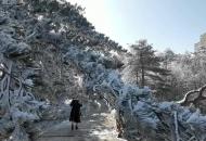 天堂寨雪景引來(lái)眾多游客打卡