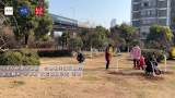 公共草地露出钢筋  合肥相关部门回应