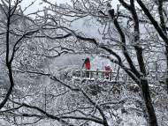 黃山風景區(qū)雪景初現(xiàn)！降雪仍在持續(xù)