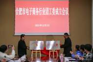 合肥市電子商務行業團工委成立
