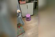 合肥一小區業主打開家門發現滿地糞水