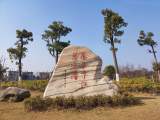 宜秀区大龙山镇：美丽乡村添底气 乡村振兴迎客来