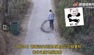 監(jiān)守自盜組團(tuán)偷公司電纜  滁州三男子被抓
