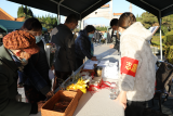 铜陵市发布春节文明祭扫倡议书