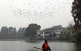 12月15-17日安徽又有冷空气 气温将下降6～8℃ 