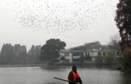 12月15-17日安徽又有冷空氣 氣溫將下降6～8℃ 