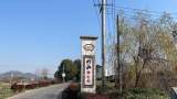 宜秀區羅嶺鎮妙山村：乘引江濟淮東風 揚鄉村振興之帆