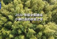 決戰決勝全面小康要補哪些短板？代表委員給出答案