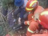 老人在山上被“捕兽套”困住 旌德消防紧急救援
