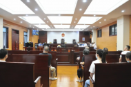 六安謝正余等7人涉惡案一審宣判 首犯獲刑19年