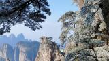 黄山又现雾凇奇景 冰花世界美如画卷（多图）