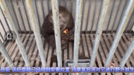 “大师兄”受伤被困 宁国一村民吓得报警求助