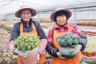 陈鑫：青苔之思