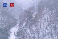 安徽天堂寨降雪  銀裝素裹美如畫