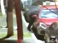 六安：撬車窗砸碎玻璃盜竊 嫌疑人瘋狂作案11起