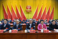 她當選為懷寧縣縣長