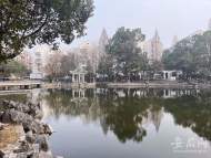 合肥琥珀山莊中心湖改造治理完工后水質如何？記者實地探訪  