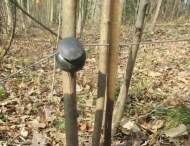 私拉電網捕獲野生動物 六安一村民被抓獲