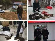 男子私自架設(shè)電網(wǎng)實(shí)施非法狩獵 被池州警方抓獲