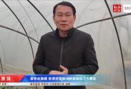 新春走基層｜蚌埠小草莓結(jié)出大果實