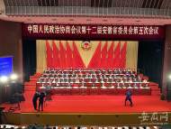 2022年安徽兩會|省政協副主席李和平：安徽應盡快試點“家庭養老床位”