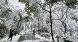 山区积雪深度最大超20厘米 广德市积极应对雨雪冰冻天气