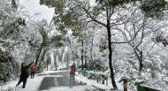 山區積雪深度最大超20厘米 廣德市積極應對雨雪冰凍天氣