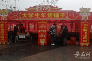 “大學生年貨鋪子”亮相蕪湖街頭