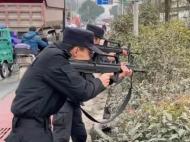 瘋牛失控欲傷人 池州特警果斷擊斃