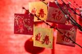 高国春:过年好