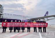 西部航空合肥至烏魯木齊直飛航線開通   單程票價(jià)最低620元