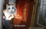 淮北一男子忘帶鑰匙爬窗進屋  鄰居誤認為賊慌忙報警