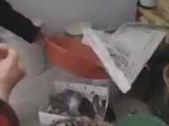 非法獵捕野生動物做成“野味”原材料賣給飯店 臨泉一男子被抓