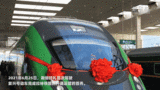新春走基层｜春运，高原复兴号首次加入！
