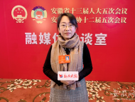 2022安徽兩會|省人大代表沈巍?。航ㄗh加快制定《安徽省精神衛生條例》  