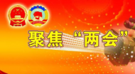2022年安徽兩會(huì)|民建安徽省委：皖北要大膽學(xué)習(xí)滬蘇浙開(kāi)發(fā)園區(qū)
