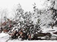 明后天安徽有一次雨雪過程 這里有大雪局部暴雪