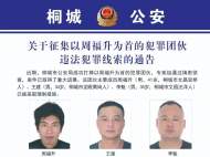 桐城警方搗毀一犯罪團伙 警方公開征集犯罪線索