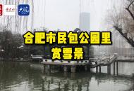 直擊安徽虎年大雪｜合肥市民包公園里賞雪景